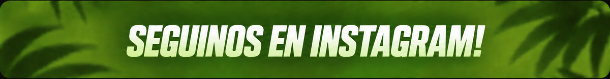 Seguí nos en Instagram